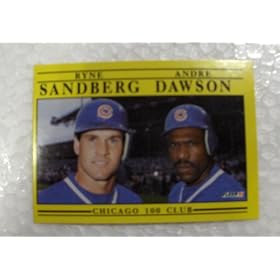1991 Fleer Ryne Sandberg and Andre Dawson # 713 MLB Baseball Card