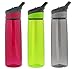 Contigo Autospout Addison Water Bottle, 24oz - Sangria, Citron & Smoke (3 Pack)