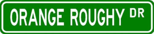 ORANGE ROUGHY Street Sign ~ Fishing ~ Great Fish Sign for your Lodge, Gameroom, Basement,...
