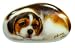 Henry Cats And Friends Cody Mountain Bernese Puppy Dog Shaped Porcelain Magnet