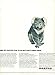 Quantas Australian Airline Ad 1966