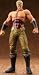 北斗の拳 世紀末激闘録フィギュアコレクションVol2 コレクション4 ラオウ