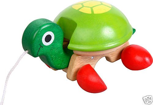 Voila Pull-Along Pet Tortoise