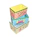 Princess in Training Set of 3 Storage Bins by LC Creations