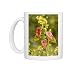 Photo Mugs of Golden rain tree or Pride-of-India flowers and fruits from Ardea Wildlife Pets