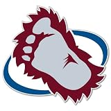 Colorado Avalanche NHL Hockey bumper sticker 5" x 5"