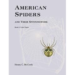American Spiders and their Spinningwork, Book 2: Color Plates