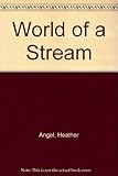 The world of a stream