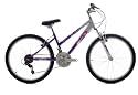 Active Roma Girls Mountain Bike - Silver/Purple, 13 Inch