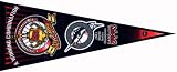 Carolina Mudcats - Florida Marlins 2003 Champions Pennant
