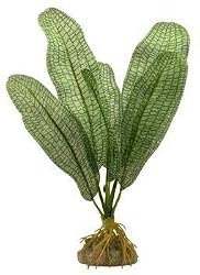 WATER WONDERS 9" SILK LACELEAF PLANT