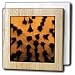 Kike Calvo Animals - Maria La Gorda, Guanahacabibes UNESCO Biosphere Reserve, Cuba, Caribbean aquatic terrestrial - Tile Napkin Holders