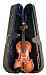 Palatino Anziano Violin Outfit, 4/4 Size, Satin Finish