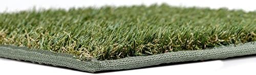 EasyTurf Artificial Grass Mat for Pets, Home &amp; Travel, 18" L x 24" W