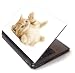 Electronics : Ginger kitten - Toshiba Lapjacks skin to fit 15" Laptops