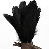 50Pcs Home Decor Black Duck Feather