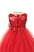 Sequin & Tulle Special Occasion Holiday Dress