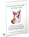 The Corgi - TEACHING YOUR NEW DOG OLD TRICKS!