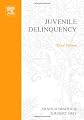 Juvenile Delinquency: Historical, Cultural and Legal Perspectives
