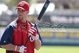 MLB Washington Nationals Bryce Harper Batting Practice 8x10 Photo