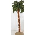 Palm Island Home 5 Foot Lighted Palm Tree