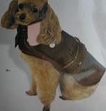 Doggiduds Main Street Trench Coat: Brown & Pink Size Large