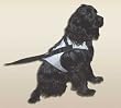 Dog Safety Harness - Keeps Your Dog Secure & Protected While Traveling in a Car - Red - Size Small (S)