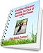 Candidas Albicans: Breaking the cycle of Yeast Infection Using Holistic Treatment