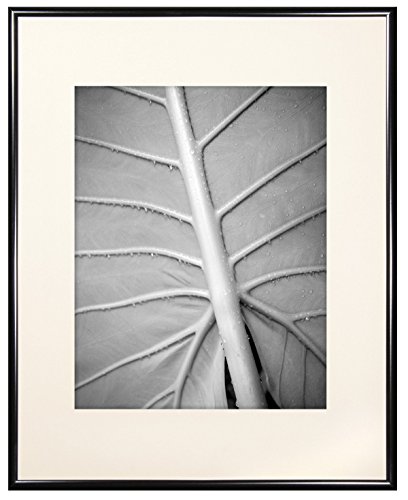 MCS Aluminum Gallery Frame 12 by 16-inch with Mat Opening to fit 8 by 12-Inch photo, Black (65596)