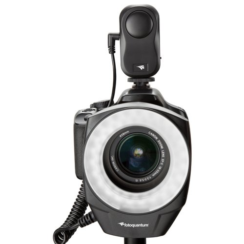 Imagen 2 de Foto-Quantum 291235