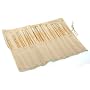 18 Piece Artist brush set