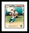 Dan Marino Miami Dolphins NFL Framed 8x10 Photograph Dropping Back