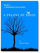 A Contagion of Loons (A Felony of Birds)
