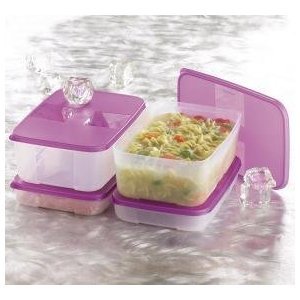 Tupperware Freezer Mates Large Set for Family Meals by Tupperware