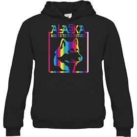 Buy Alaska Unisex Hooded Sweatshirt (Gold, Silver, Pink, Blue, and Rainbow Foil) by Solid Gold Bomb