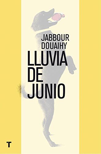 Lluvia de junio (El Cuarto de las Maravillas) (Spanish Edition)