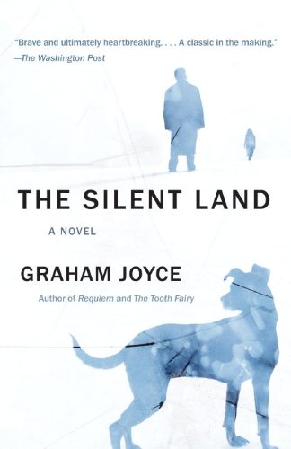 The Silent Land: A novel