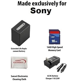 Li-Ion Extended Life Replacement Battery Pack For The Sony NP-FV100 5600mAh! For Sony Camcorders DCR-SR68 SR88 SX44 SX63 SX83 CX110 CX150 CX170 CX300 CX370 CX350 CX550 HC9 XR150 XR350 XR550 MC50 + 110/220V BC-TRV Replacement 1 Hour Home & Car Charger + 16GB High Speed Error Free Memory Card + SSE Cl