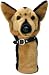 Zoo Headcover German Shepherd Dog 460cc