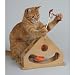 Pet Supplies : Tick Tock Teaser Cat Toy