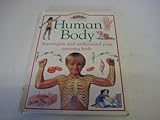 Human body