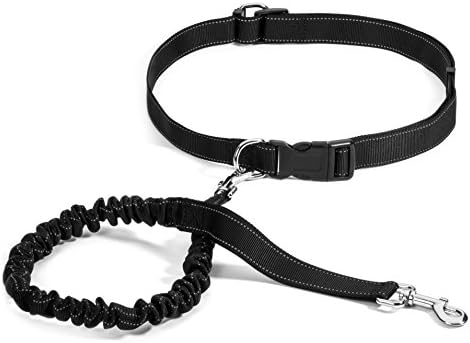 Prosper PetsHands Free Dog Leash - Dual Handle Running Leash – Shock Absorbing, Extendible Bungee – Adjustable Waist Belt – for Running, Jogging or Walking