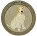 Labrador Retriever Stepping Stone