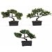 41dPTeoKsRL. SL75  Bonsai Artificial Tree