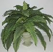 19" Frosted Artificial Fern in Urn