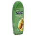 Softsoap Moisturizing Body Wash, Fresh Pear & Apple Blossom, 18-Ounces (Pack of 6)