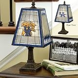 Kentucky Wildcats 14 Art Glass Table Lamp