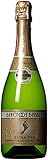 Barefoot Bubbly California Extra Dry Sparkling Wine 750mL
