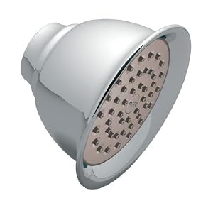 Moen 6302AZ One-Function Moenflo Xl Showerhead, Antique Bronze