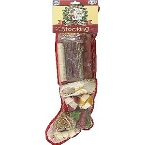 filled christmas dog stockings